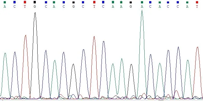 Le séquençage Sanger : méthode de référence pour l'analyse d’ADN